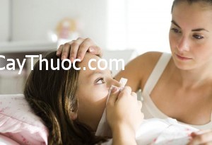 208-images615756_faa051000184