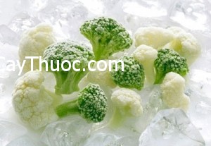 3-20140522-0311-sup-lo-rat-tot-cho-suc-khoe-1400915071057