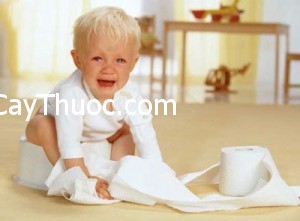 41041_daubung400-63664