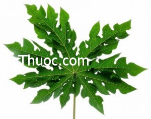 bai-thuoc-dan-gian-chua-benh-a-sung-550x433