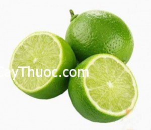 bai-thuoc-dan-gian-chua-benh-a-sung3-550x477