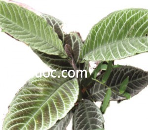 bao-vi-an-1403522976054