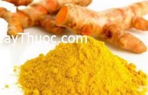 bao-vi-an1-1403522976061