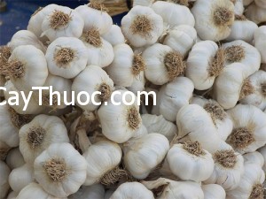 t-i-8419-1409981279-1410231275034