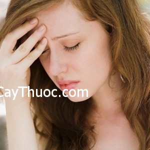 Roi-loan-tien-dinh232