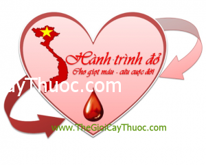 can-dan-cua-thay-thuoc-voi-nguoi-hien-mau-Thongtinbenhcom