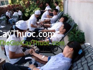 can-dan-cua-thay-thuoc-voi-nguoi-hien-mau-Thongtinbenhcom1