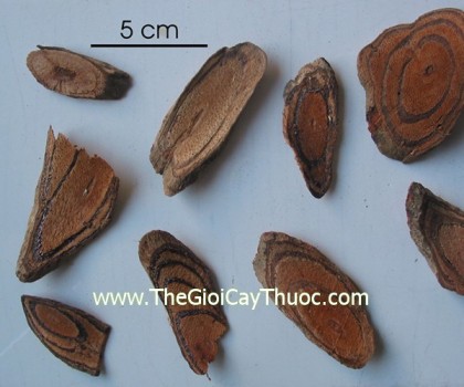 cayhuyetrong1