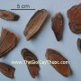 cayhuyetrong1