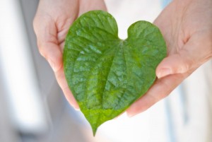 Mot-so-cach-tri-nhuc-rang-nhanh-nhat-1