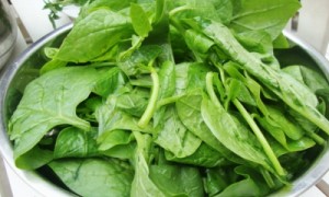 Toi-da-khoi-dau-nhuc-xuong-khop-chi-nho-2-thang-an-canh-mung-toi-6