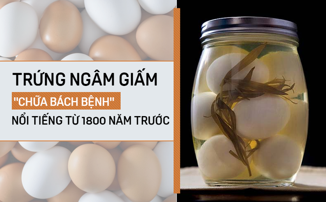 photo-1-1496898140372-0-0-496-800-crop-1496898157154