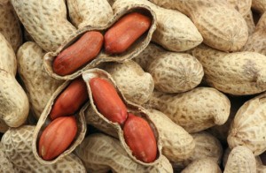 185133_roi-loan-nhip-tim