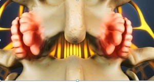 gai-cot-song-JPG-3061-1509089160