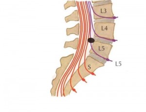thoat-20vi-20dia-20dem-20cot-20song-20that-20lung-1491192545415_181119694
