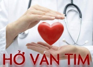 ho-van-tim---can-benh-khong-the-coi-thuong-ho-van-tim---can-benh-khong-the-coi-thuong-b68ho-v-1520776296-6-width640height462