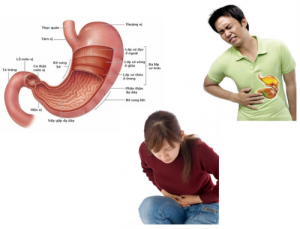 dau-da-day_201011115