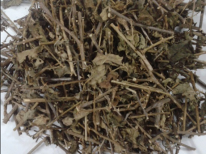 ca-gai-leo-co-tac-dung-gi