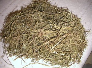 cong-dung-cua-cay-cho-de