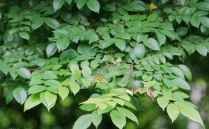 dunglakhechuadiungthenaochohieuqua