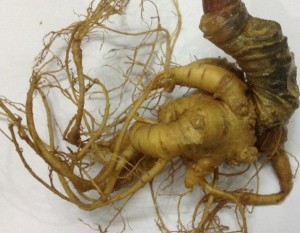 tac-dung-cua-tam-that-1-600x465