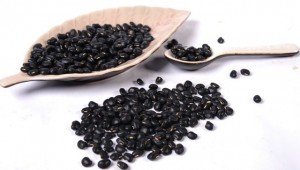 1a0d5358-6c8e-4e46-aa29-272105efccd3