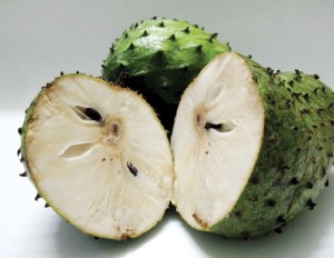 7_cong_dung_cua_mang_cau_xiem_khong_phai_ai_cung_biet_3-500x387