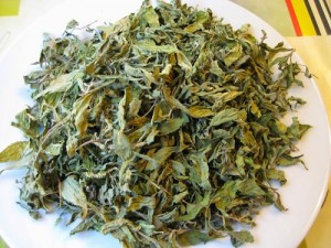 tac_dung_cua_la_sen_kho1-500x375