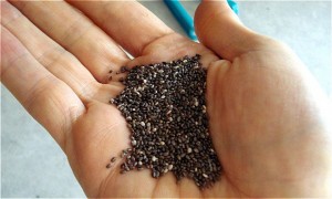 hat-chia-1542859183-5756-1542859725