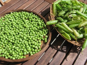 photo-2-15409968558372011315807