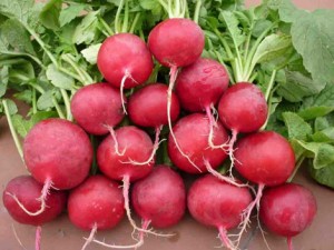 loi-ich-vo-gia-cua-cu-den