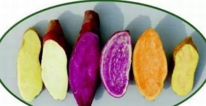 201901250942131746-99ba0771-d62f-484e-bec9-90ae1e96ec74