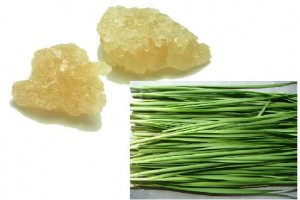 8-bai-thuoc-tu-duong-phen-tri-ho-dai-dang-hieu-nghiem-Hinh-5