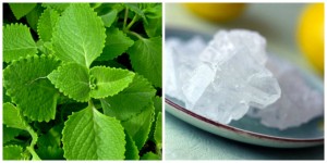 8-bai-thuoc-tu-duong-phen-tri-ho-dai-dang-hieu-nghiem-Hinh-9