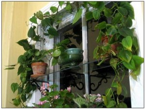 dff51f18ef5e06005f4f