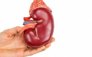 than-15507216567121671944209-crop-155072166412225804384