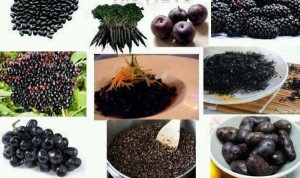 tp-mau-den-15507219596691140965089