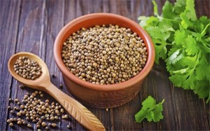 cach-chua-nhiet-mieng-4