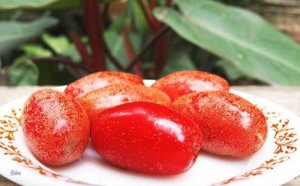 cach-tri-giun-san-bang-nhot-vua-hieu-qua-lai-re-tien-01_oapg