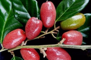 cach-tri-giun-san-bang-nhot-vua-hieu-qua-lai-re-tien_nrfj