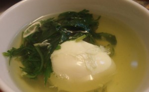 photo1551343927059-1551343927416-crop-155134395286679702549