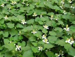 22136579-15547715396481816489516-0945