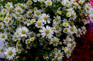 dsc-5941-1478703763409