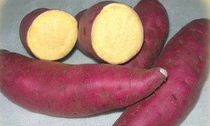 khoai-lang