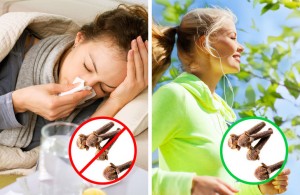 loi-ich-than-ky-cua-dinh-huong-khien-ban-tiec-nuoi-vi-khong-biet-som