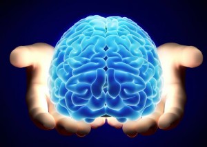 mach-ban-tat-tan-tat-nhung-tac-dung-than-ky-cua-dau-lang13-2019-04-11-15-23-1120162