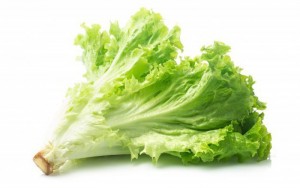 rau-diep-1-15456207507701655048605-crop-1545620760587267725449