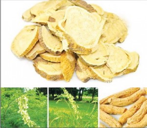 untit9led_resize-1136570