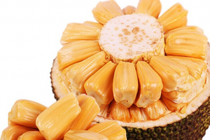 Loai-qua-la-2-1560043780-228-width665height443